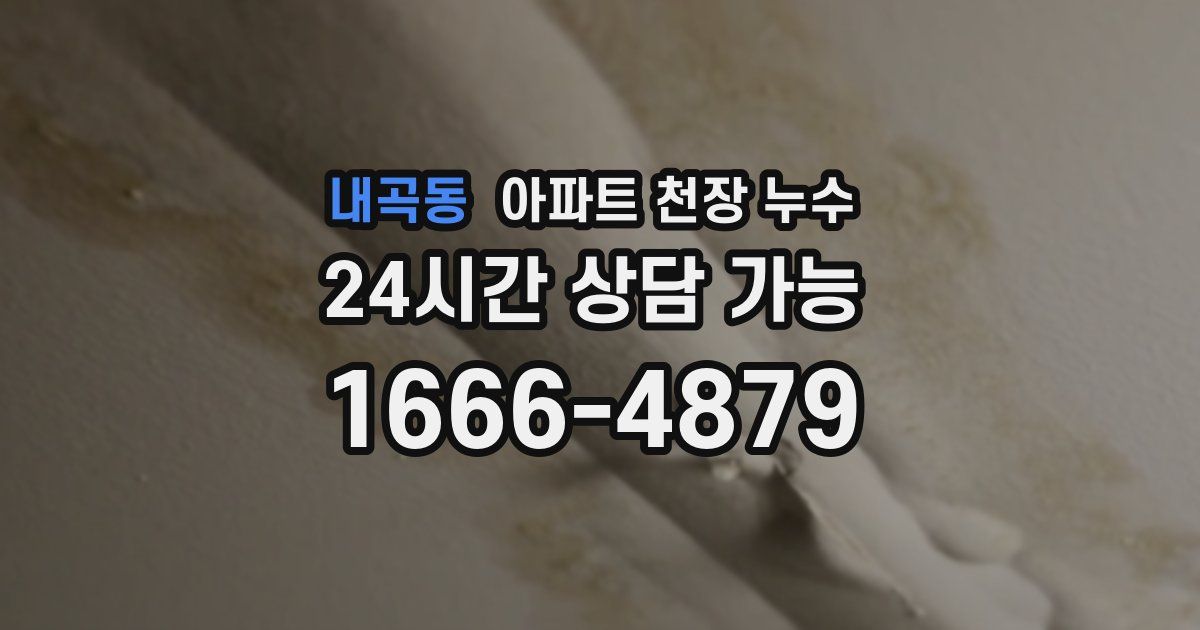 내곡동 아파트 천장 누수