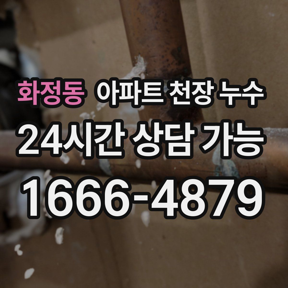 화정동 아파트 천장 누수