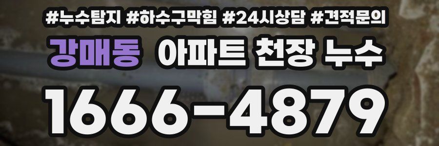 강매동 아파트 천장 누수