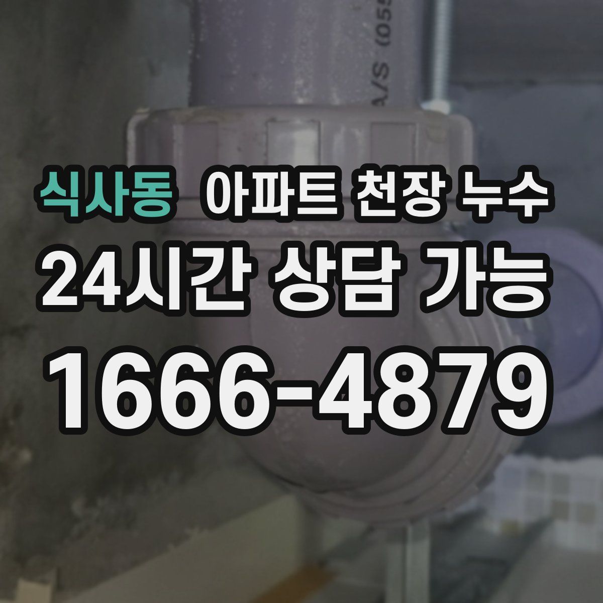 식사동 아파트 천장 누수