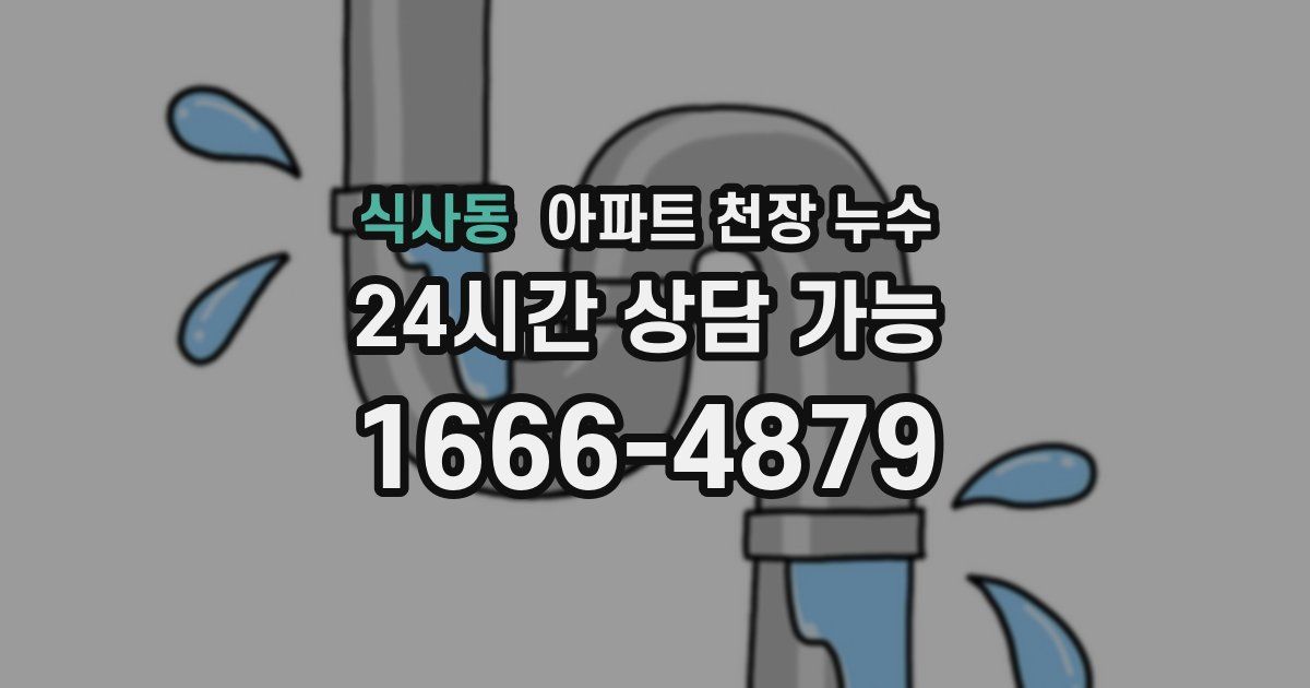 식사동 아파트 천장 누수
