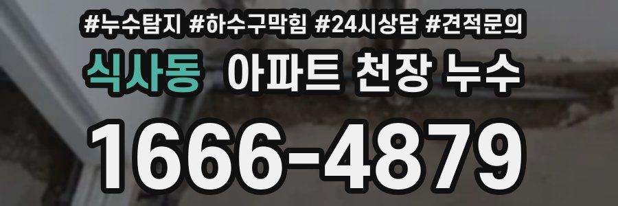 식사동 아파트 천장 누수