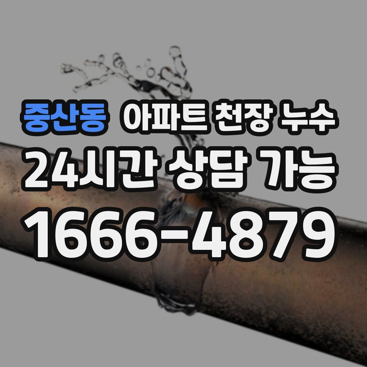 중산동 아파트 천장 누수