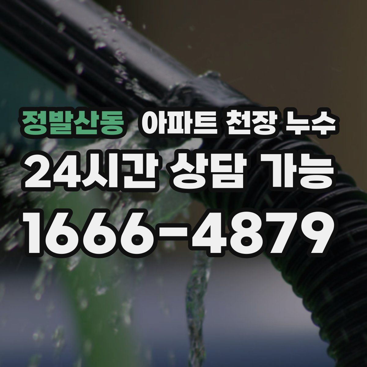 정발산동 아파트 천장 누수