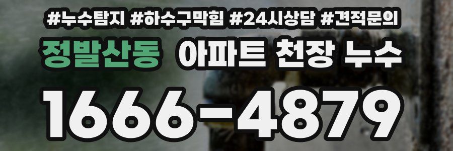 정발산동 아파트 천장 누수