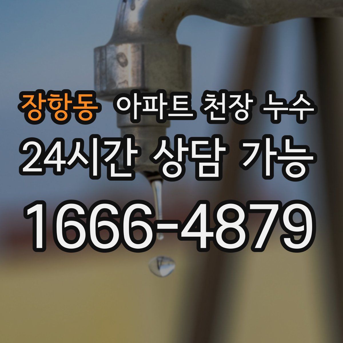 장항동 아파트 천장 누수