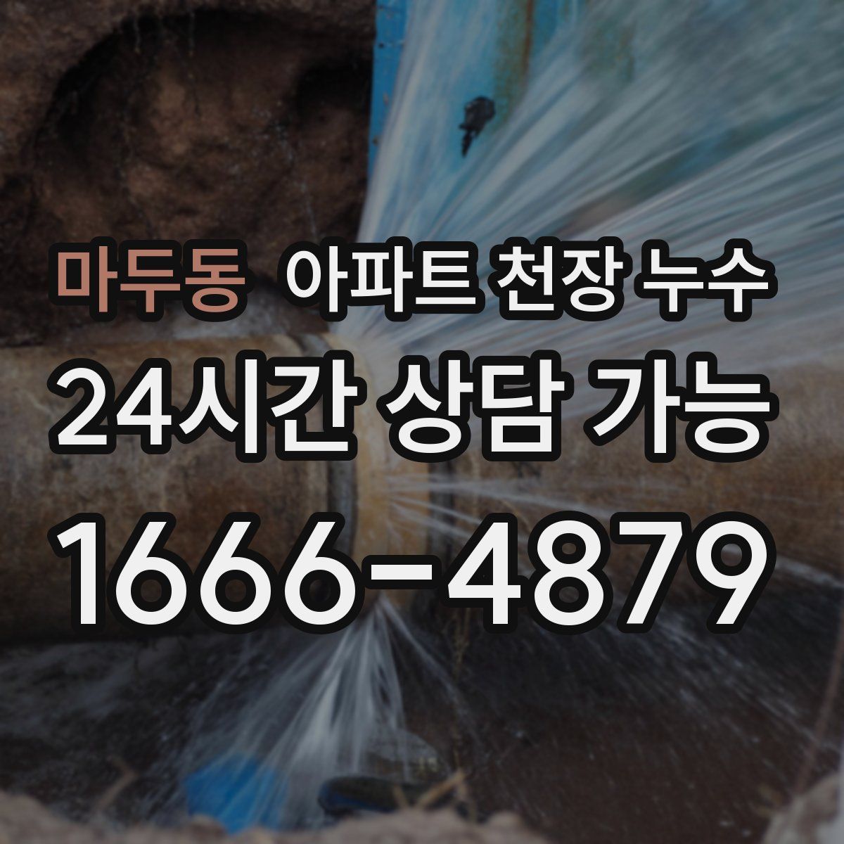 마두동 아파트 천장 누수