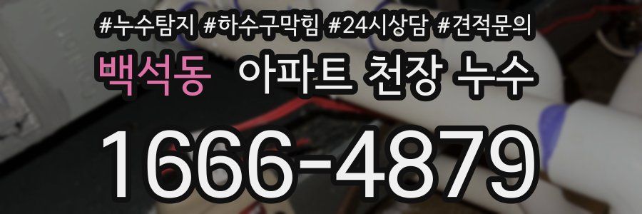 백석동 아파트 천장 누수