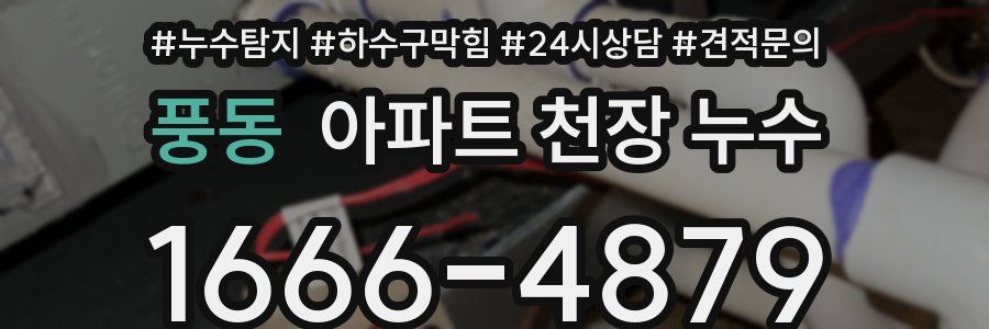 풍동 아파트 천장 누수