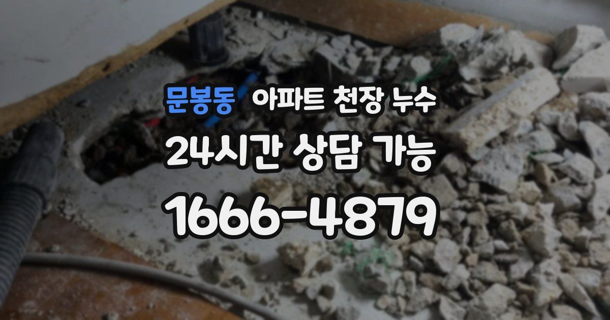 문봉동 아파트 천장 누수