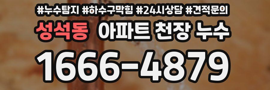 성석동 아파트 천장 누수