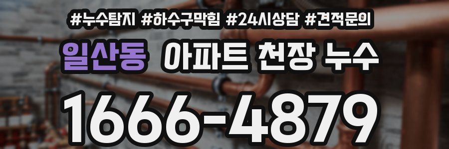 일산동 아파트 천장 누수
