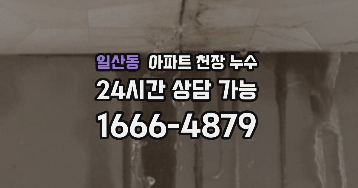일산동 아파트 천장 누수