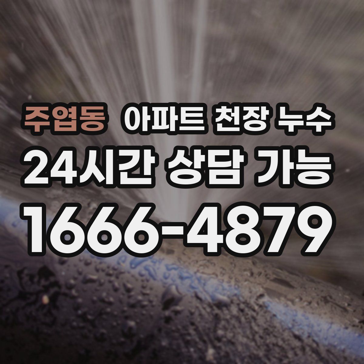 주엽동 아파트 천장 누수