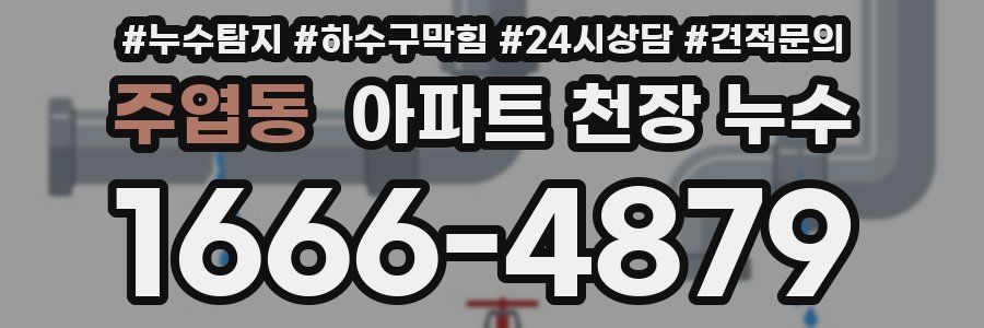 주엽동 아파트 천장 누수
