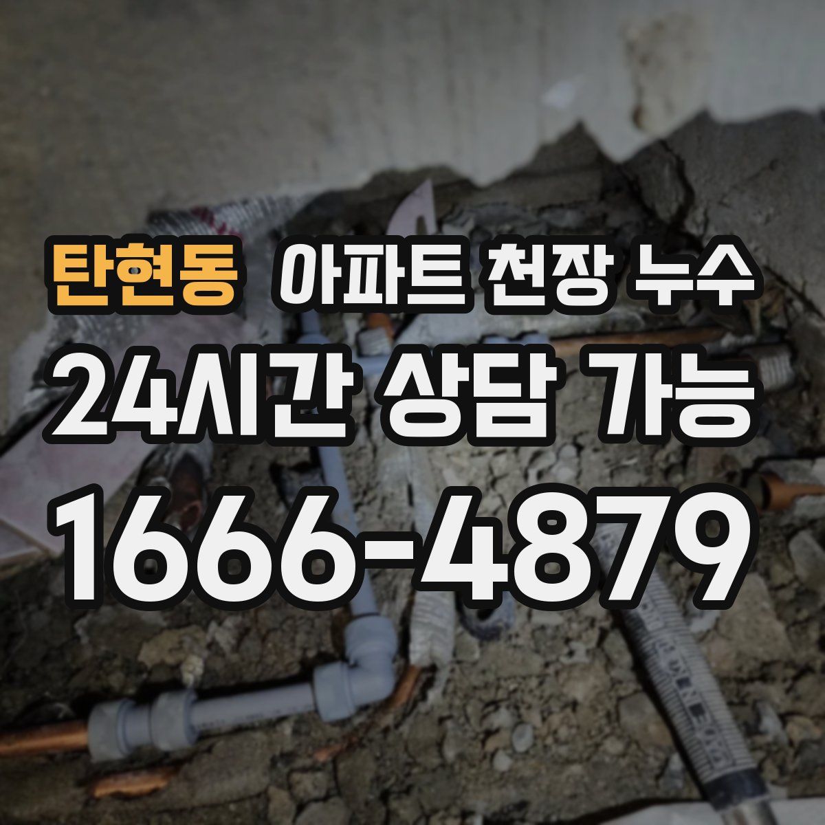 탄현동 아파트 천장 누수
