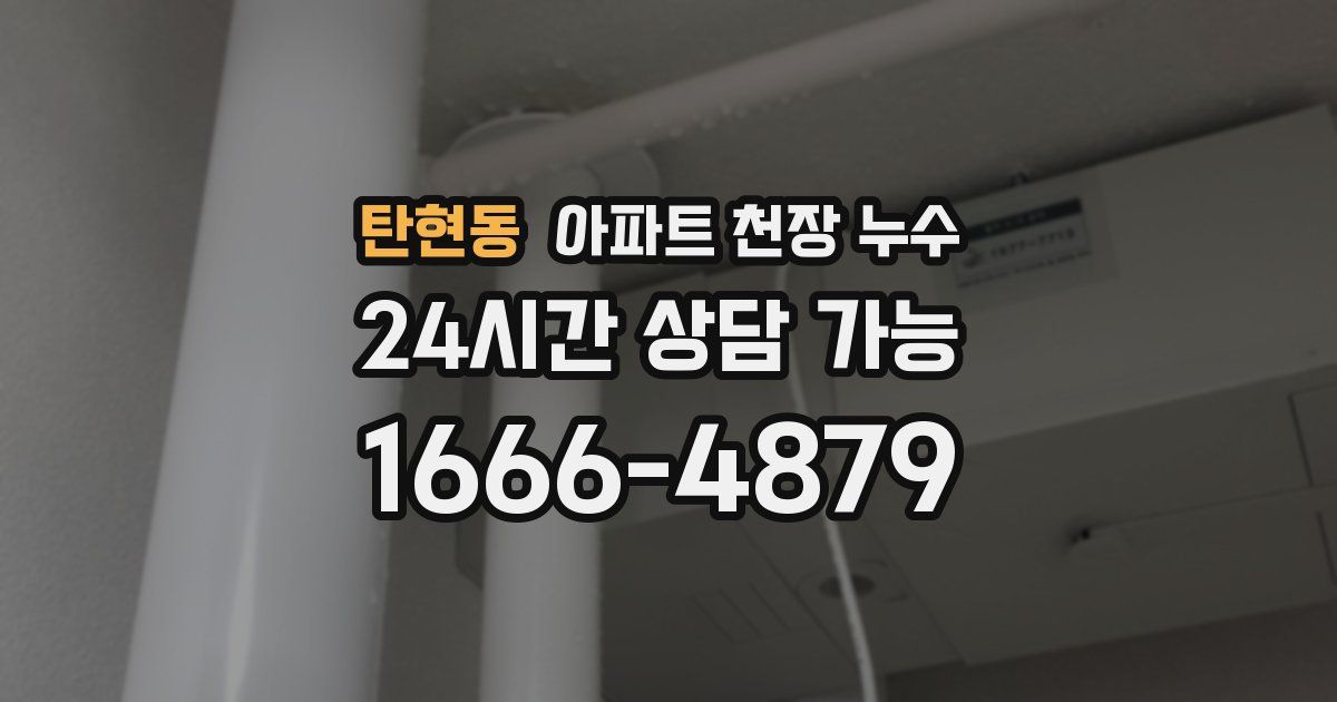 탄현동 아파트 천장 누수