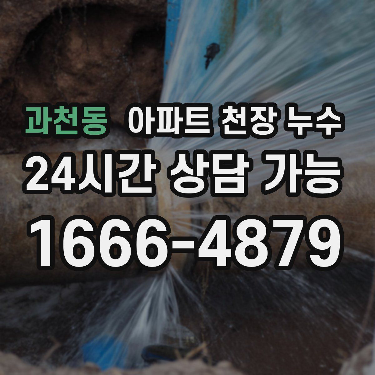 과천동 아파트 천장 누수