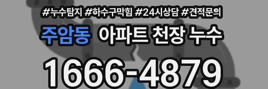 주암동 아파트 천장 누수