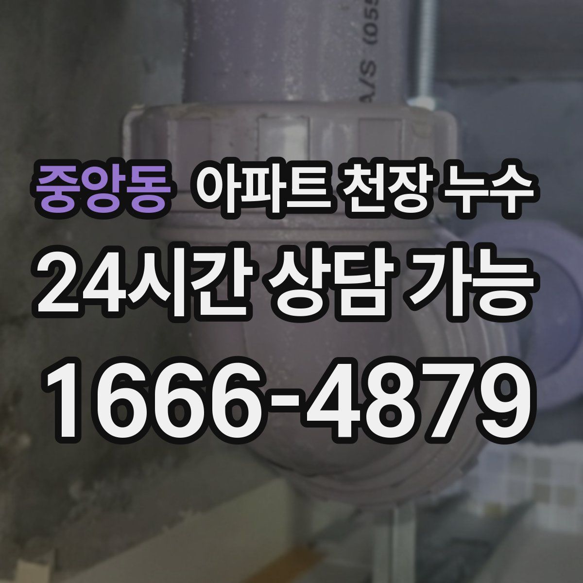 중앙동 아파트 천장 누수