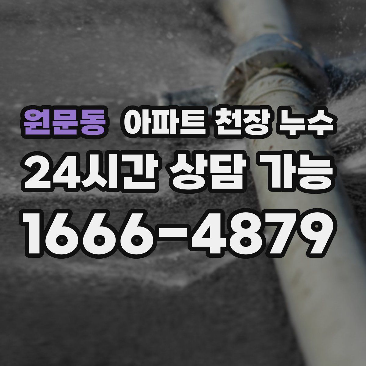 원문동 아파트 천장 누수