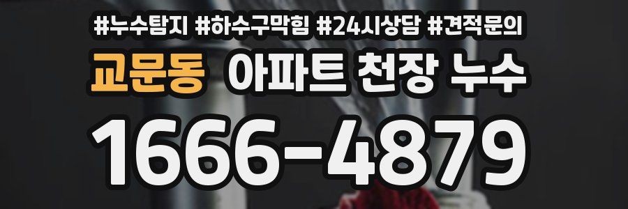 교문동 아파트 천장 누수
