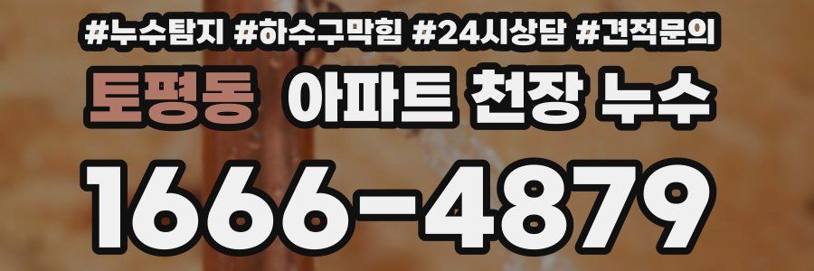토평동 아파트 천장 누수