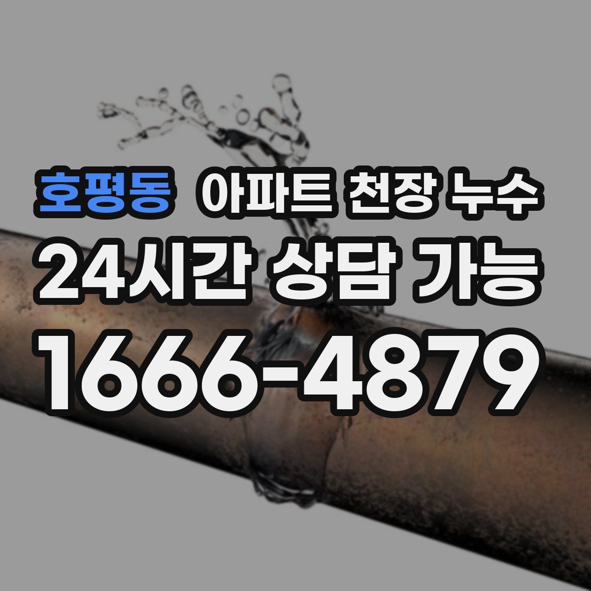 호평동 아파트 천장 누수