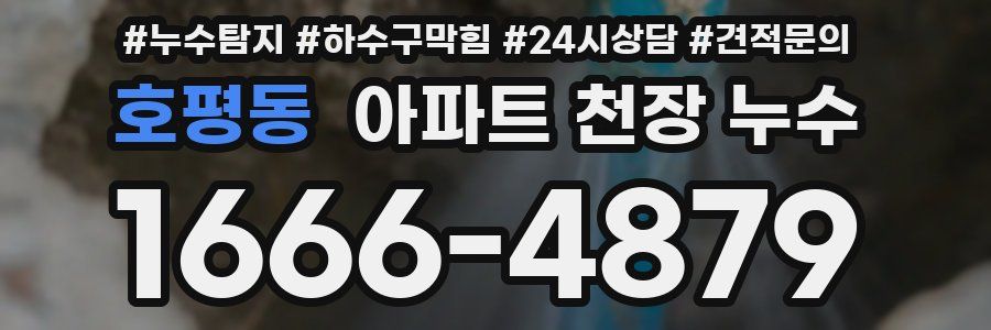 호평동 아파트 천장 누수