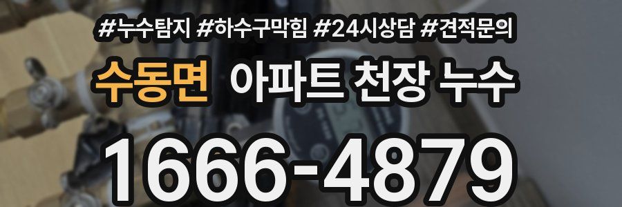 수동면 아파트 천장 누수