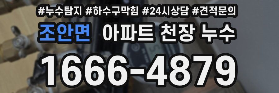 조안면 아파트 천장 누수
