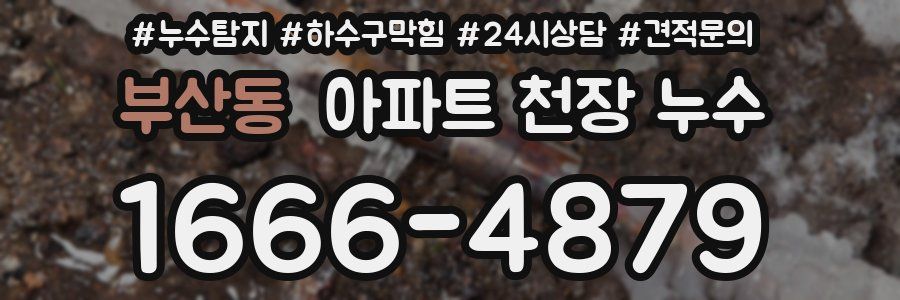 부산동 아파트 천장 누수