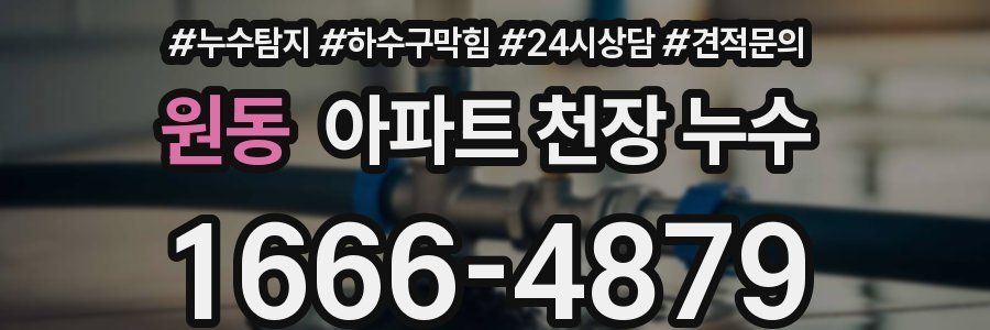 원동 아파트 천장 누수