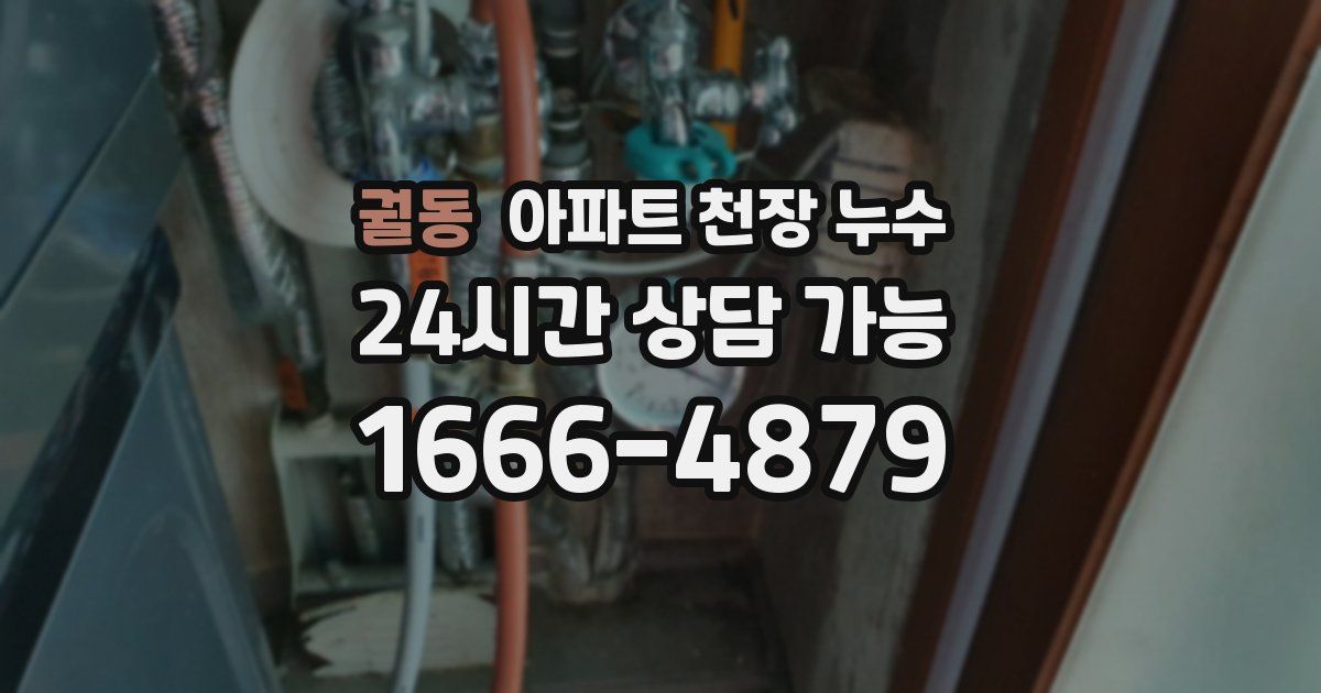 궐동 아파트 천장 누수