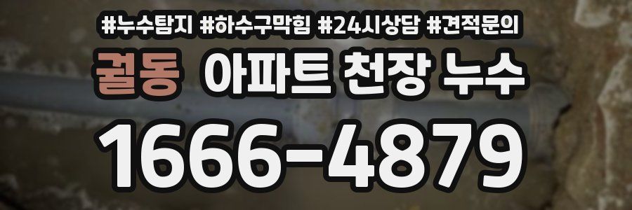궐동 아파트 천장 누수