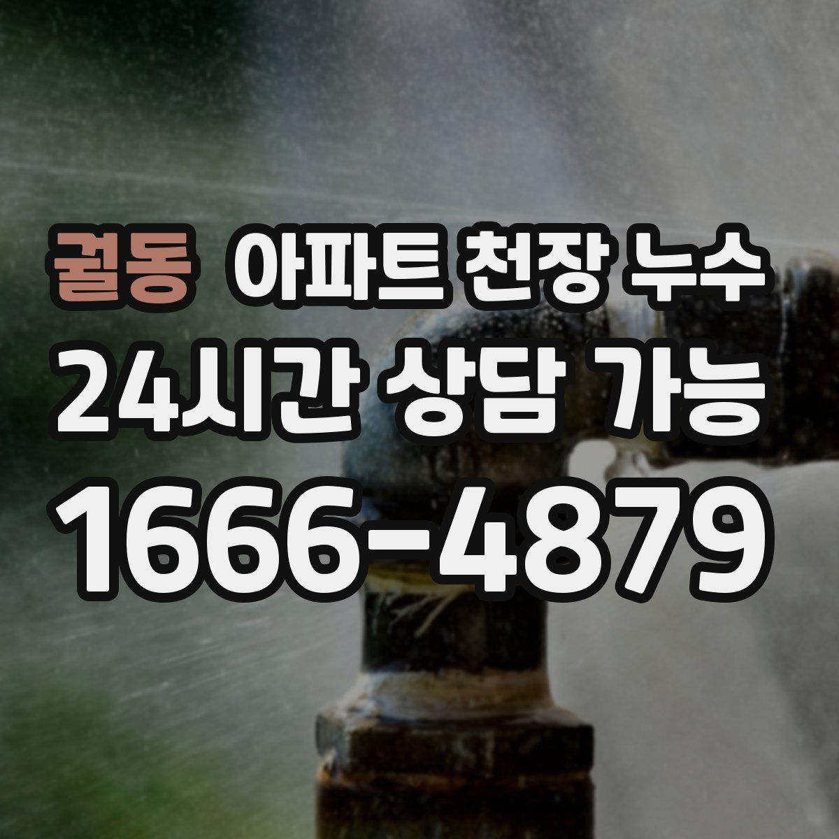 궐동 아파트 천장 누수