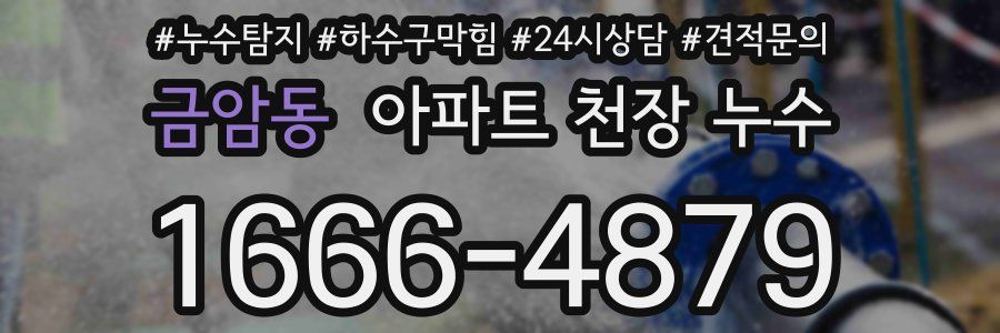 금암동 아파트 천장 누수