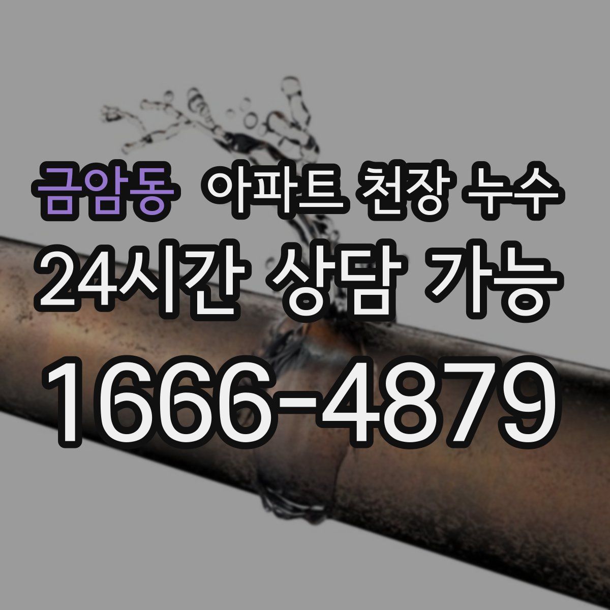 금암동 아파트 천장 누수