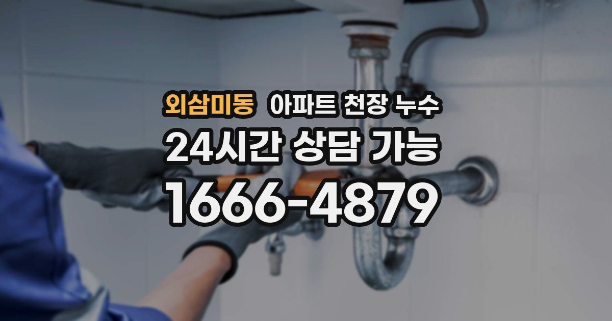 외삼미동 아파트 천장 누수