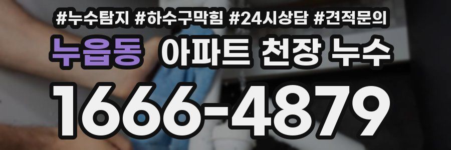 누읍동 아파트 천장 누수