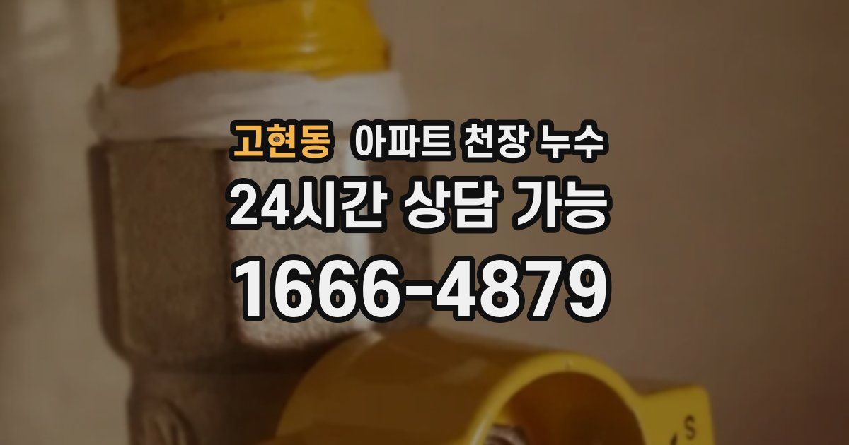 고현동 아파트 천장 누수
