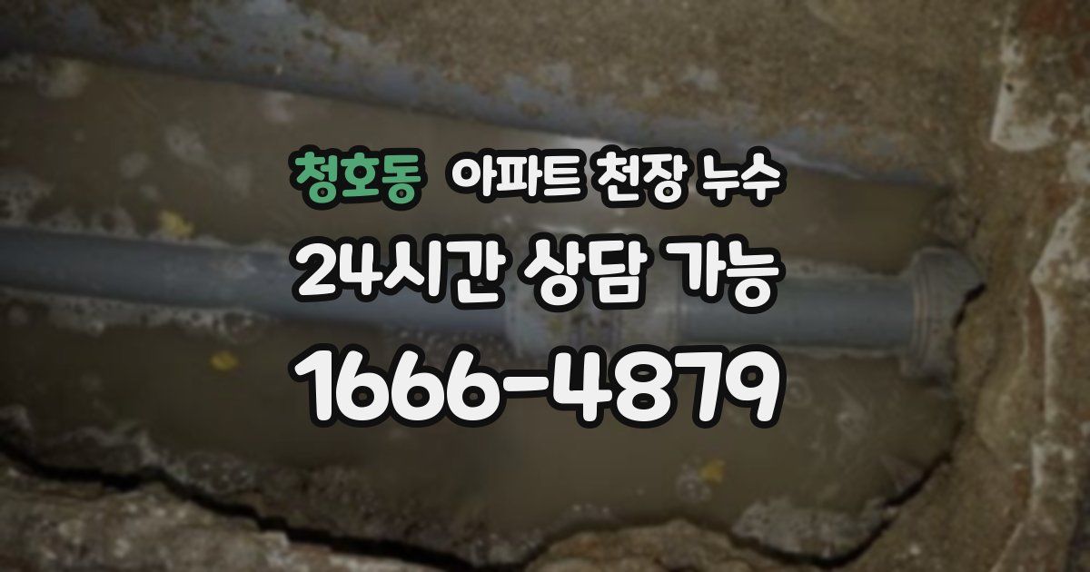 청호동 아파트 천장 누수