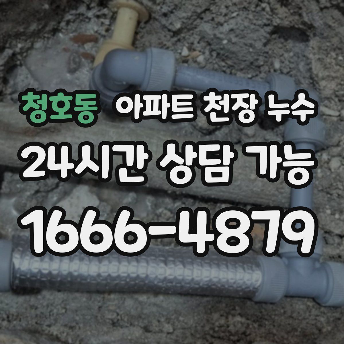 청호동 아파트 천장 누수