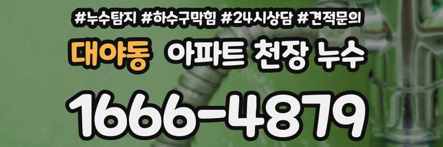 대야동 아파트 천장 누수