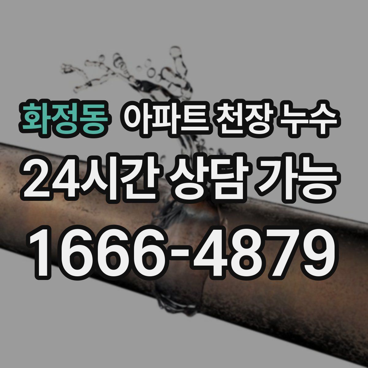 화정동 아파트 천장 누수