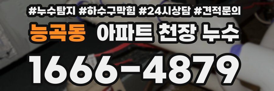 능곡동 아파트 천장 누수