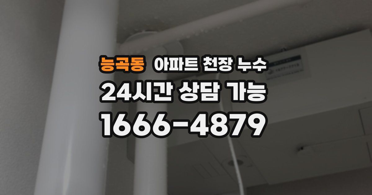 능곡동 아파트 천장 누수