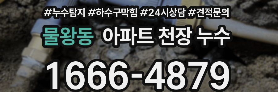 물왕동 아파트 천장 누수