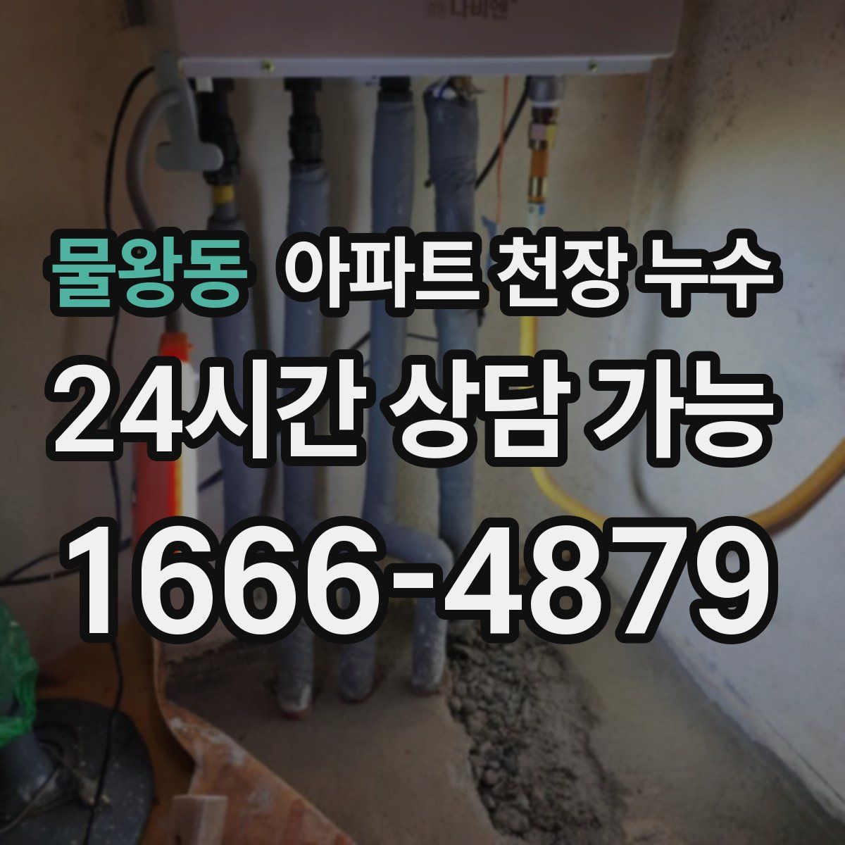 물왕동 아파트 천장 누수