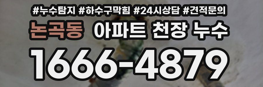 논곡동 아파트 천장 누수